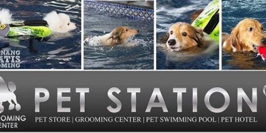 petstationID's profile banner image