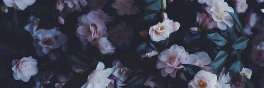 kenzie_jenkins's profile banner image