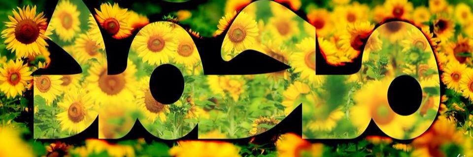 aliajmal147's profile banner image