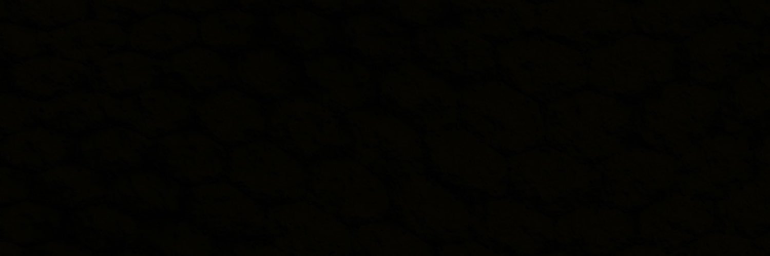 rayanlababidi's profile banner image