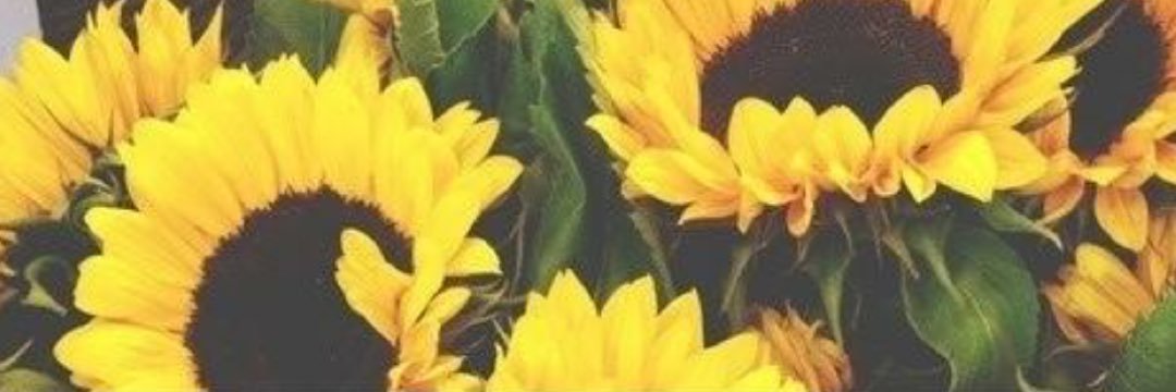 leahfields12's profile banner image