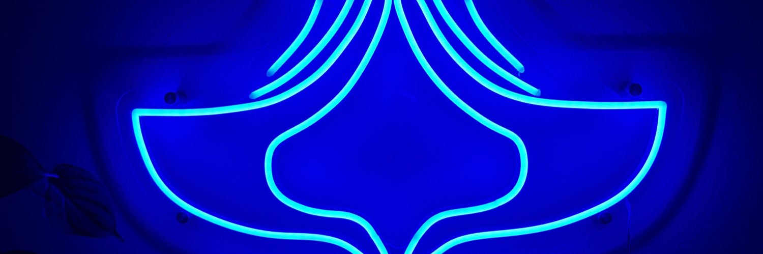 TheAboveFlyness's profile banner image