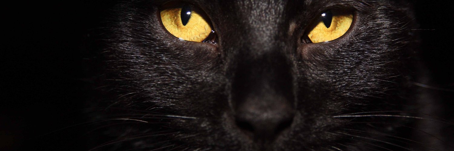 blackcat_997's profile banner image