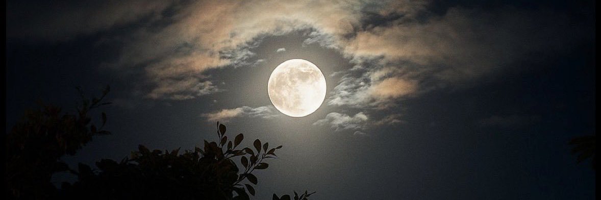 رفیق نسبتا باب banner