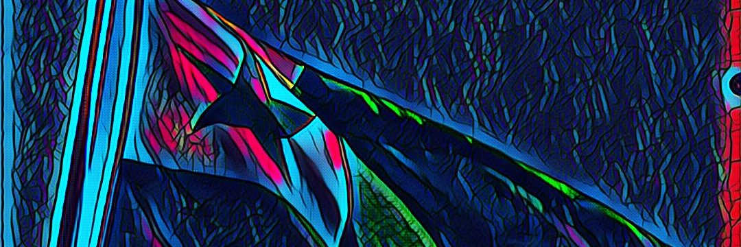 mskbiker's profile banner image