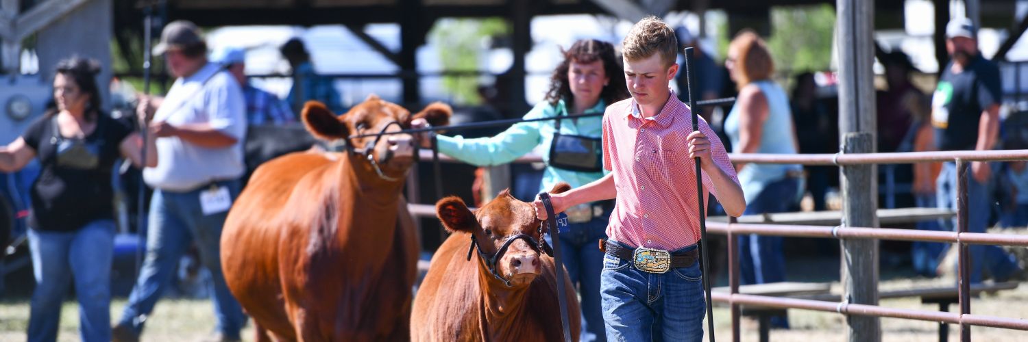 Wilbarcattle's profile banner image