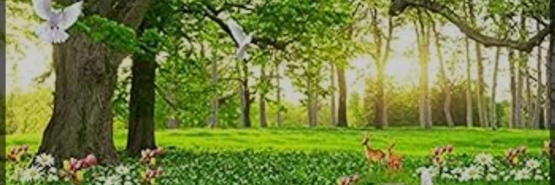JuffryJaafar's profile banner image