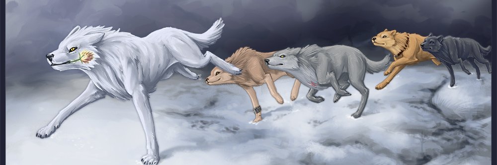 WolfFawna's profile banner image