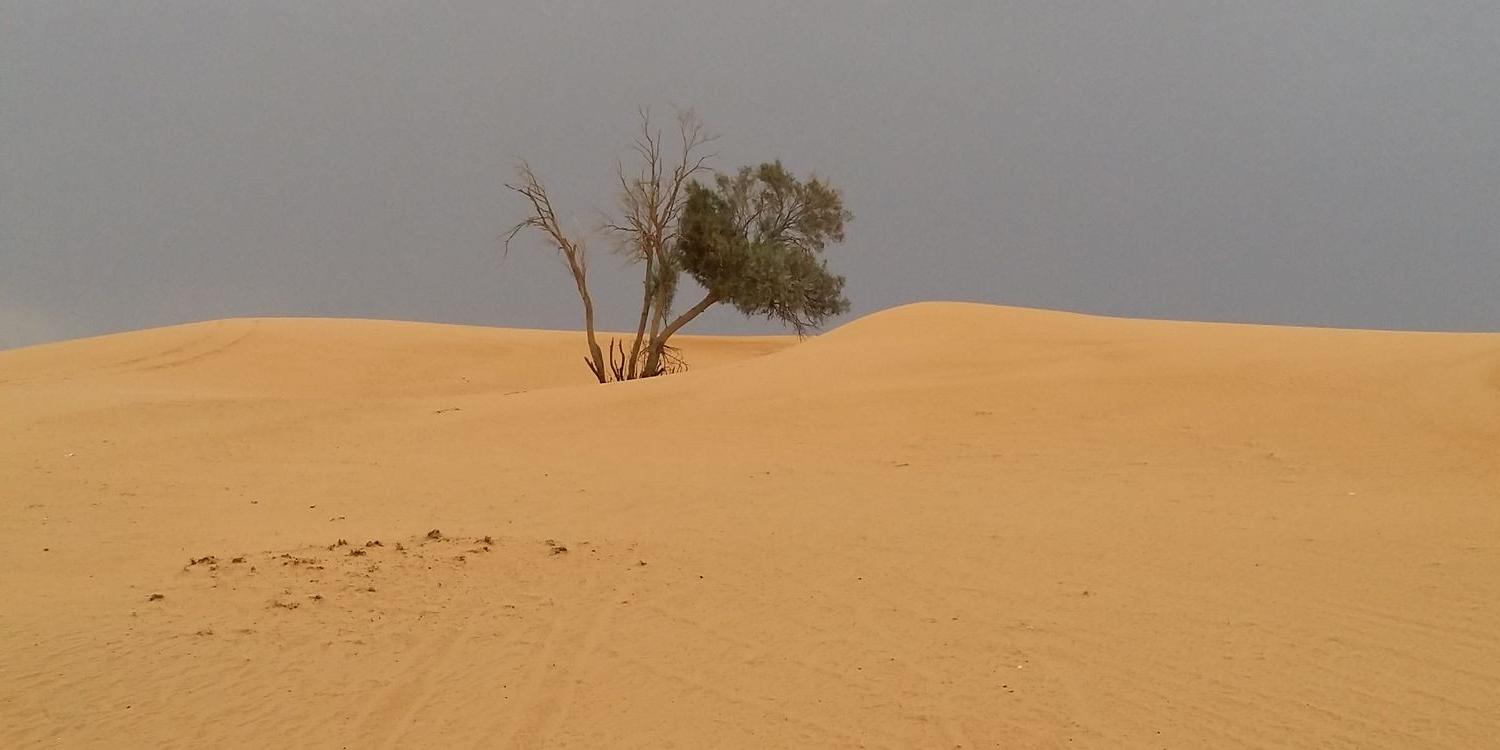 dubaiyani's profile banner image