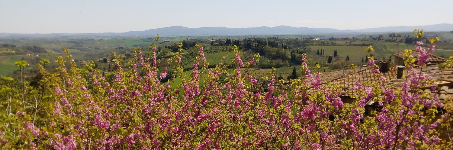 gmasdeuca's profile banner image