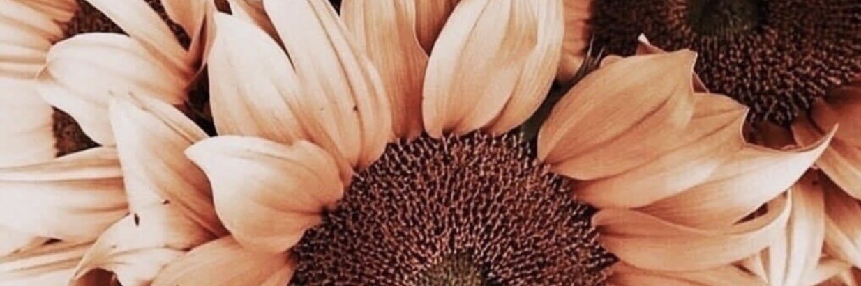 brookennicole's profile banner image