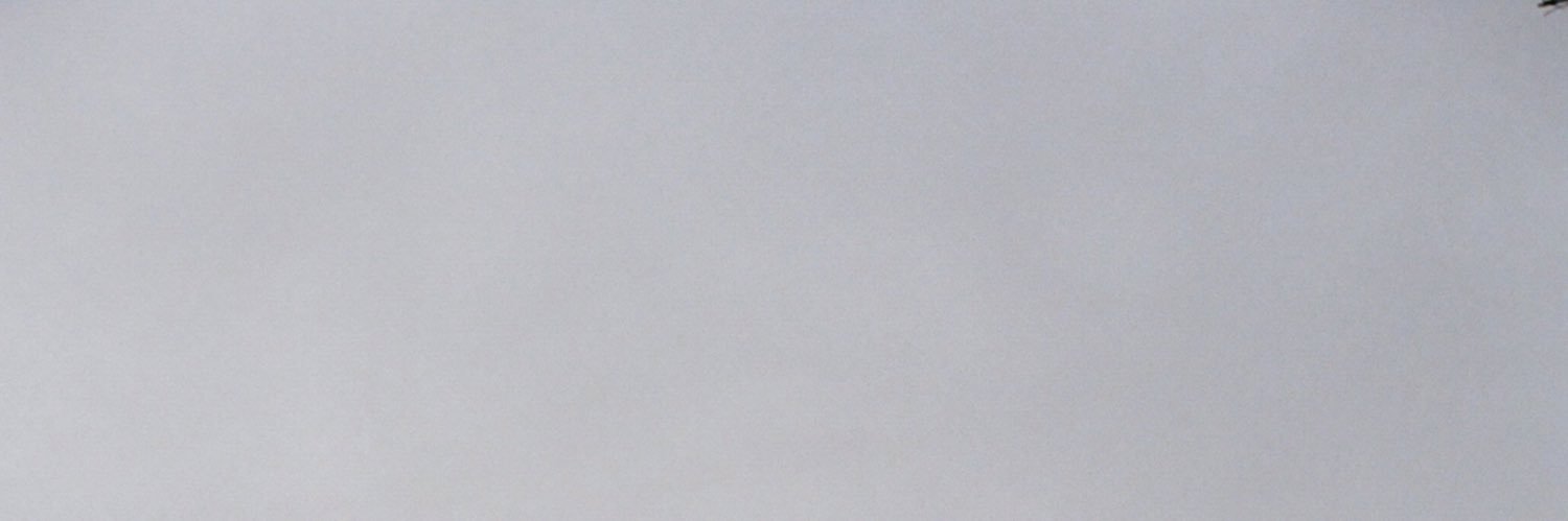 TbhItsShania's profile banner image