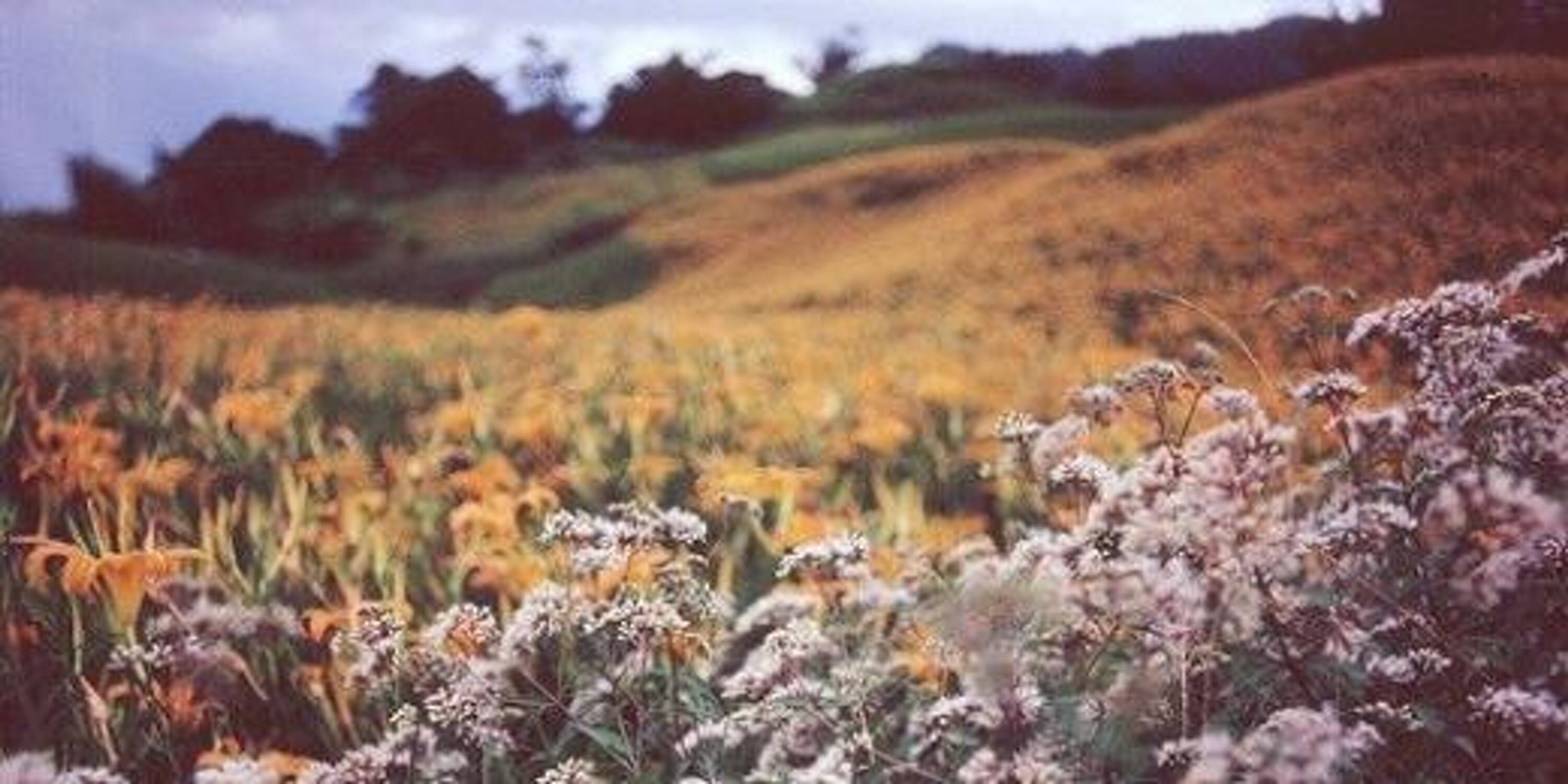 мистер жопосранчик banner