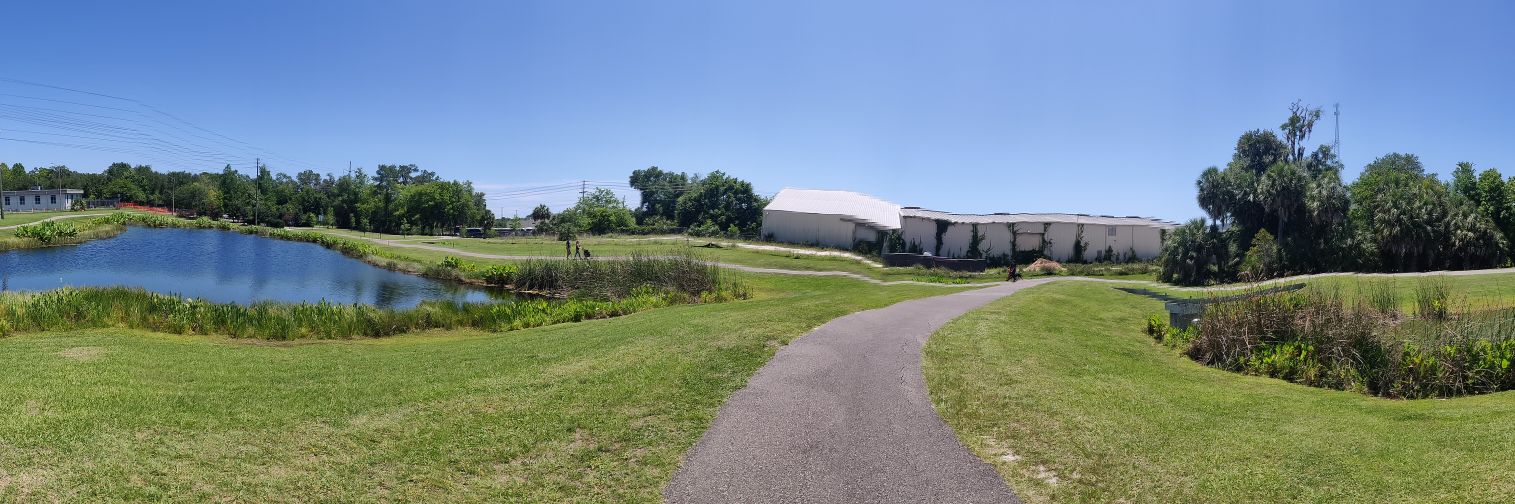 Robert Accolla banner