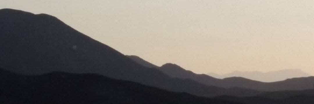 Angela M. Brommel banner