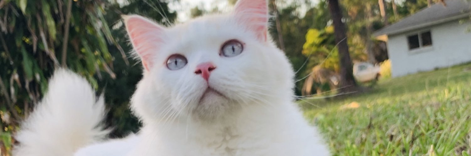 millerxoo's profile banner image