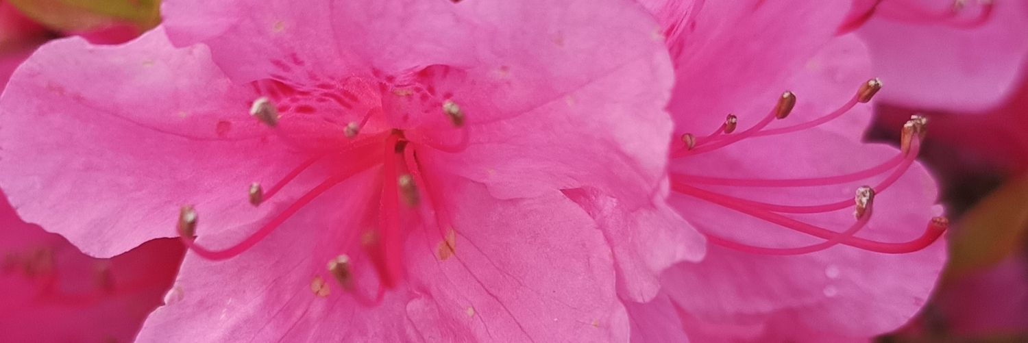 AmandaUrff's profile banner image
