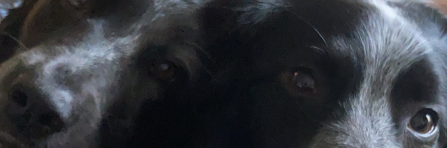 D_epresso6's profile banner image