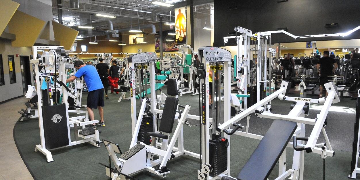 GoldsGymAlex's profile banner image