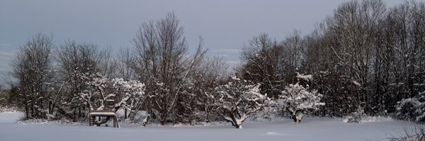 robotpain Profile Banner