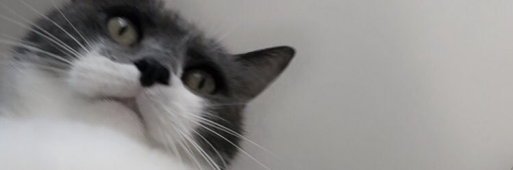CharlotteDbs_'s profile banner image