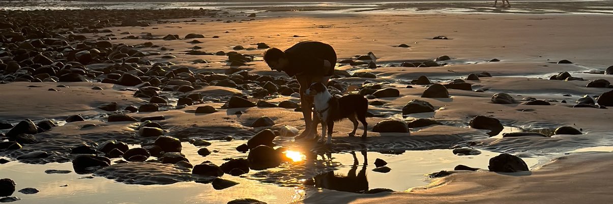 1187Swan's profile banner image