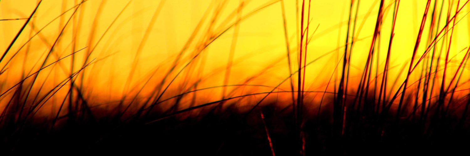 v_vandana's profile banner image