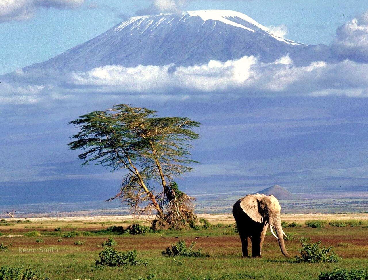 NukuuZaBongo's profile banner image