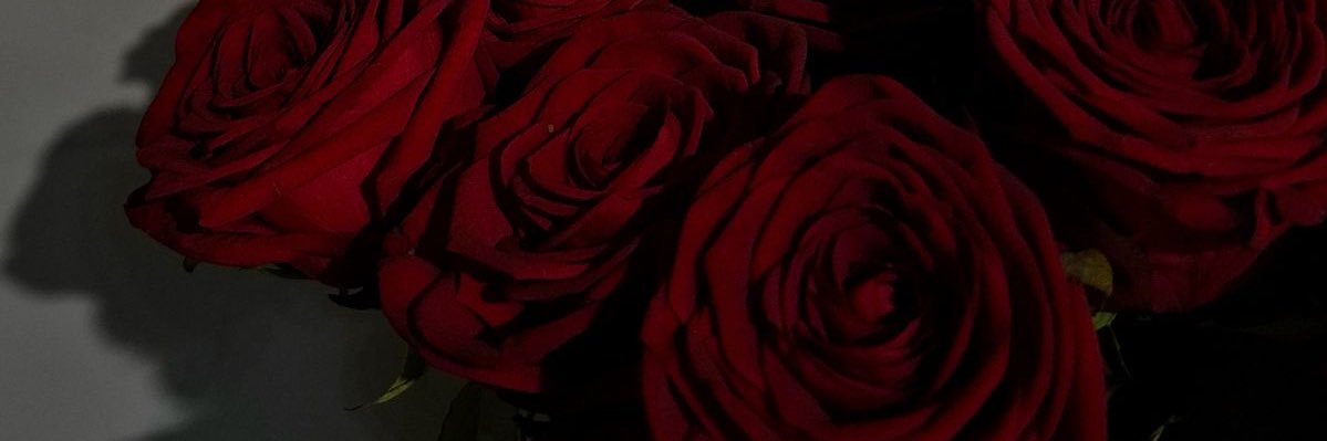 idonae_'s profile banner image