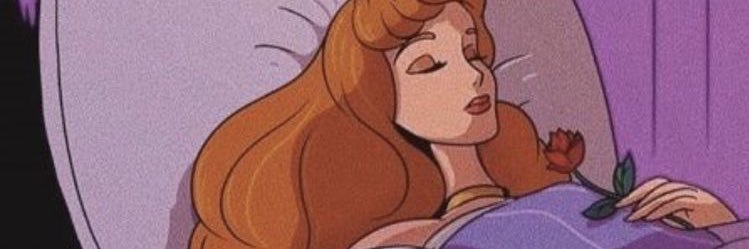 SssZahra's profile banner image