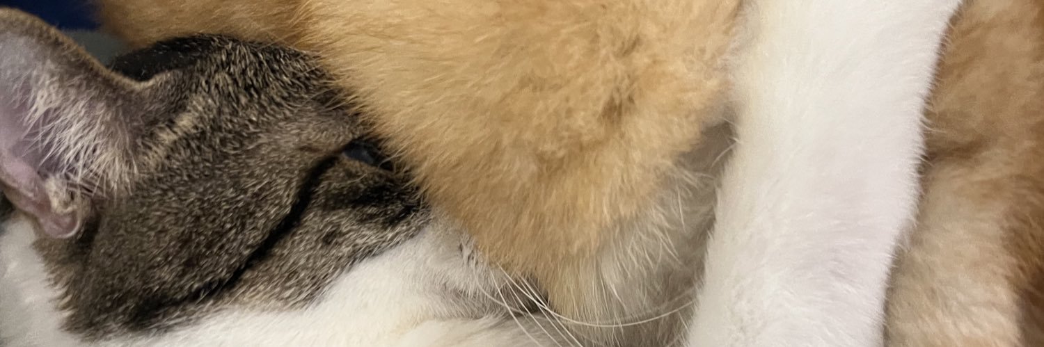 soo_doo's profile banner image
