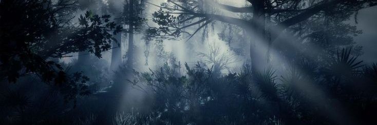 Baanister's profile banner image