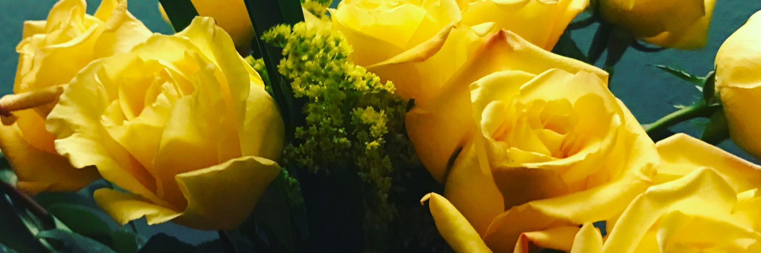 DizzyLights's profile banner image