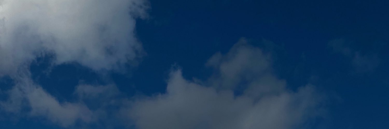 niki_aco's profile banner image