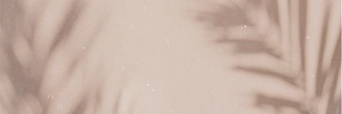 chloesperber's profile banner image