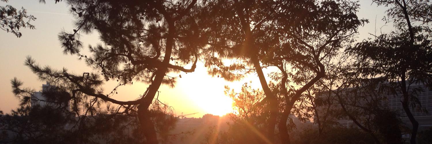 cnrsz's profile banner image
