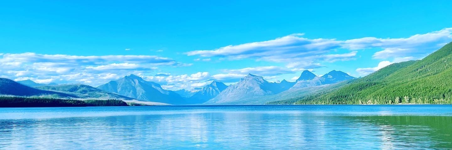 michellia's profile banner image