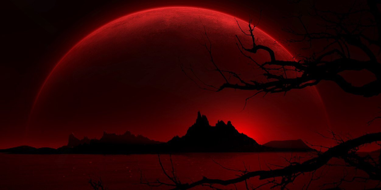 KogitheCatfox's profile banner image