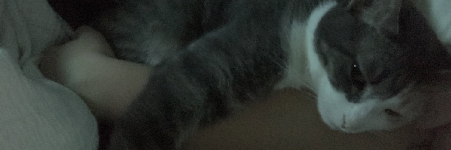 maddielogan_'s profile banner image