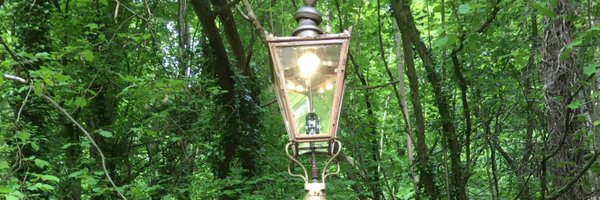 stray_hamster Profile Banner