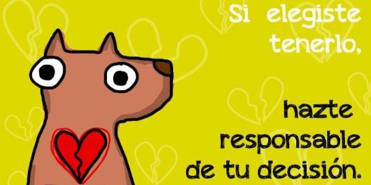 rescatesMty's profile banner image