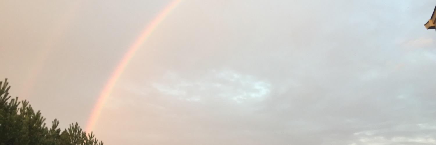 danphanmik's profile banner image