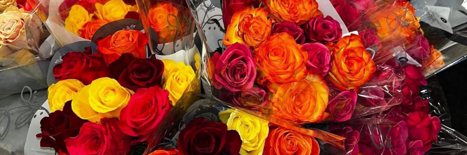 sunshinegal_23's profile banner image