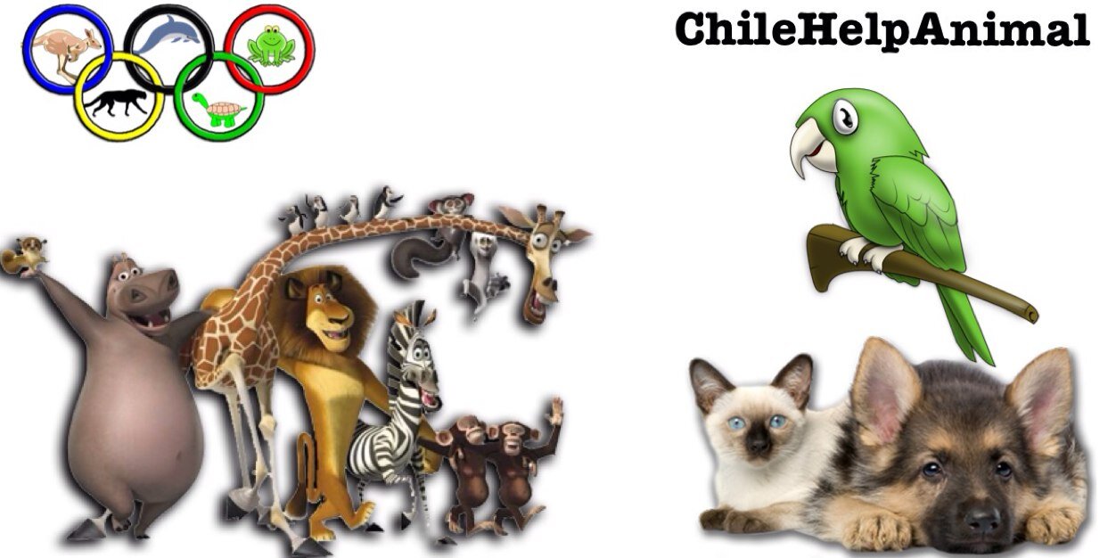 Chile ANIMALISTA banner