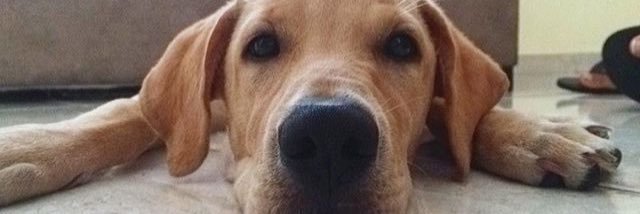 alexiatasca's profile banner image