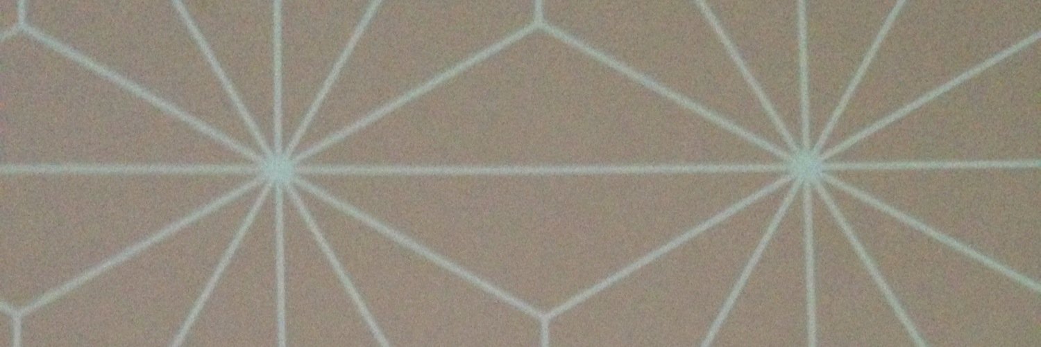 MarenRood's profile banner image