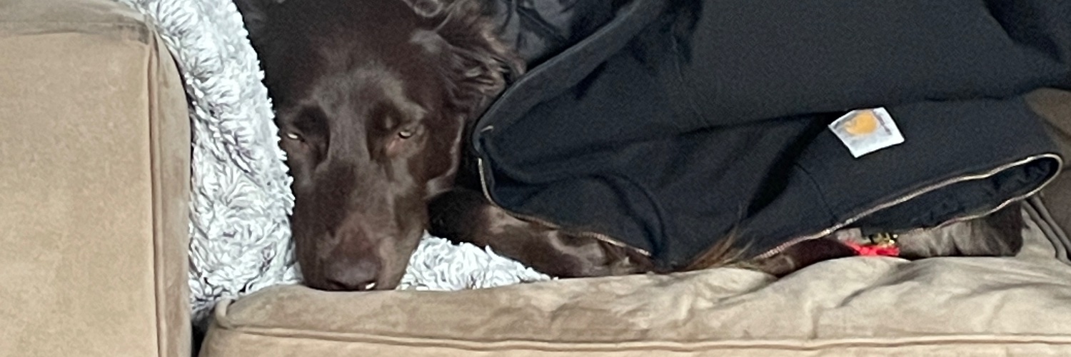 CROWMOM_'s profile banner image