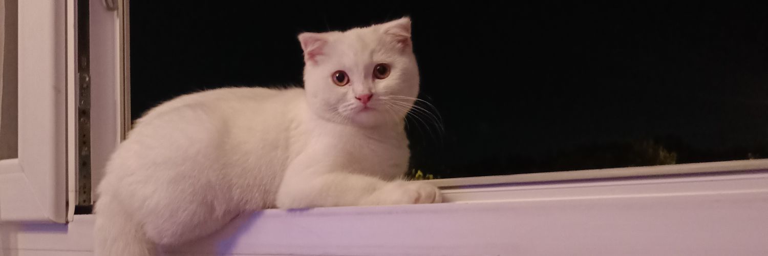 killyou1907's profile banner image