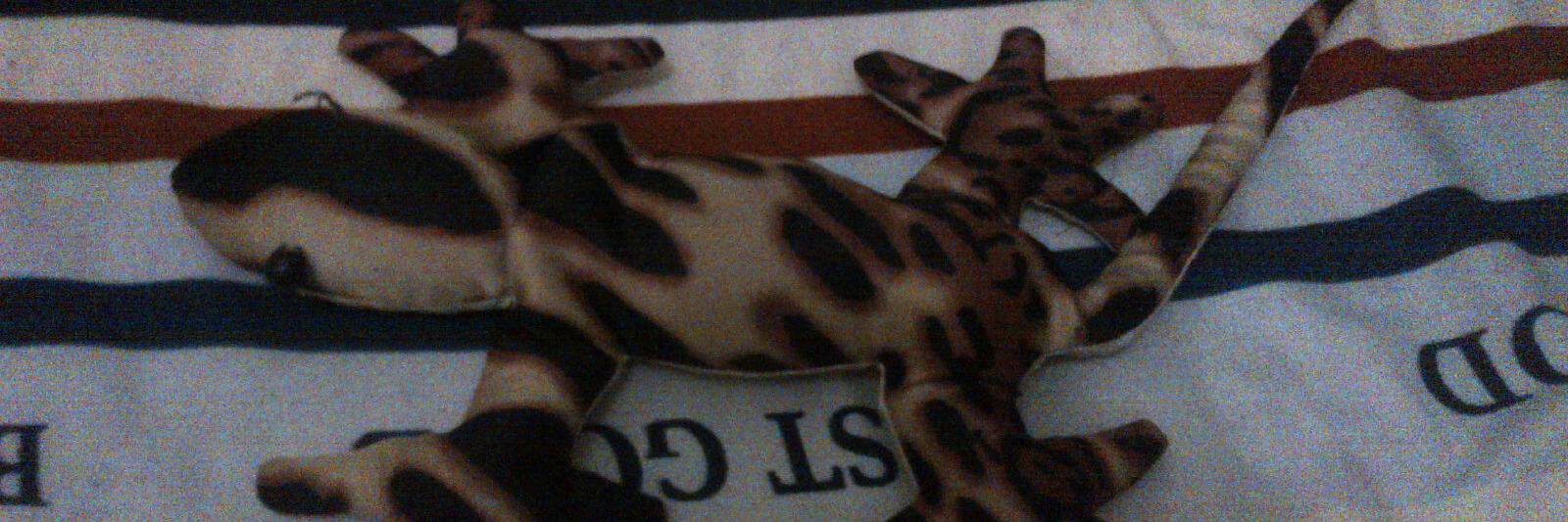 nefikaaa's profile banner image