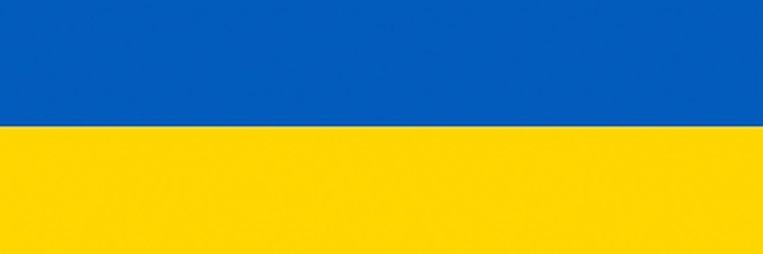 In Like Flynn 🇺🇦 banner